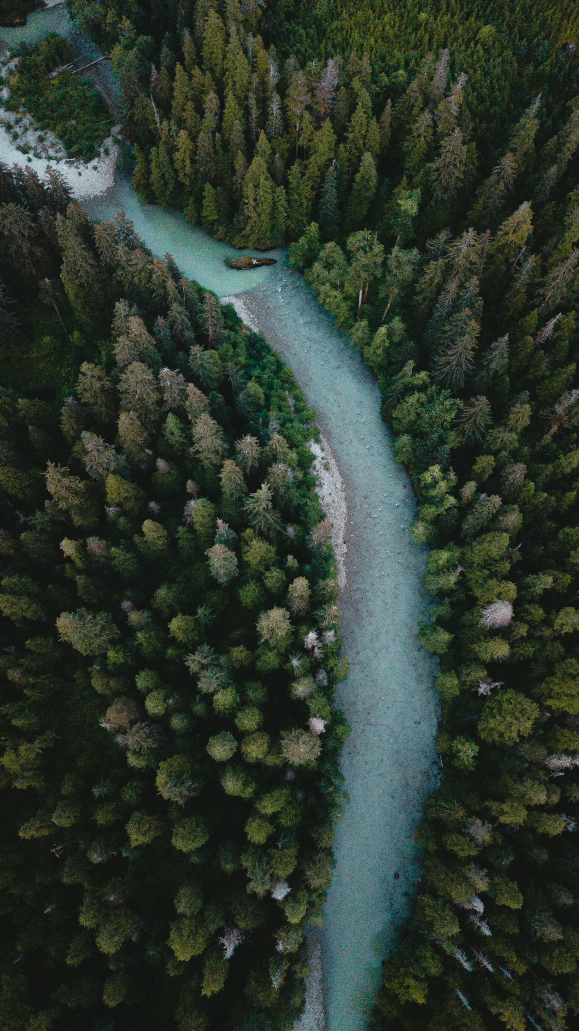 Vue aérienne d’une rivière canadienne et de la forêt